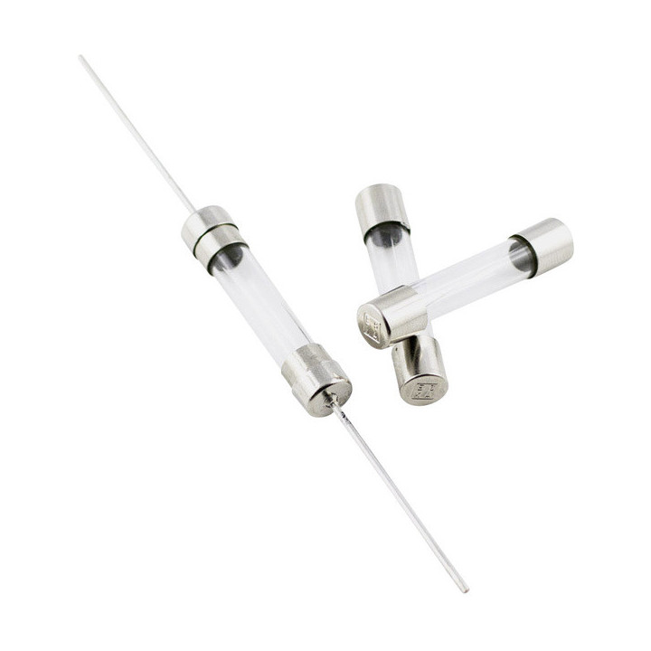 ESKA 522.507 Glassicherung 5x20 mm, 100 mA - T - träges Abschaltvermögen, 10 Stück