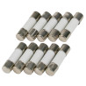 Seki Keramiksicherung 5x20 mm, 1,0 A - F - flinkes Abschaltvermögen, 10 Stück