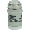 Mersen D03GG40V80, D03-Sicherungseinsatz Neozed, AC 230/400V, DC 250V, 80 A silber