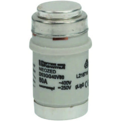 Mersen D03GG40V100, D03-Sicherungseinsatz Neozed, AC 230/400V, DC 250V, 100 A rot