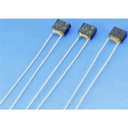 ESKA 700.103, N2F Temperatursicherung Radial, 103°C, 1A, 250V