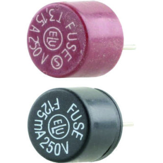 TR5 Kleinstsicherung 0,1 A - T - träges Abschaltvermögen, 1 Stück