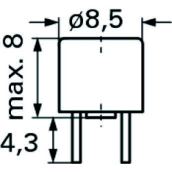 TR5 Kleinstsicherung 1,0 A - T - träges Abschaltvermögen, 1 Stück