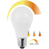 Blulaxa LED SMD Lampe Birnenform E27 10W 810lm warmweiß, Dim-to-warm