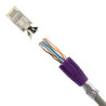 RJ45 Netzwerkstecker mit Zugentlastung, Einführhilfe und Tülle, im 10er Set, lila