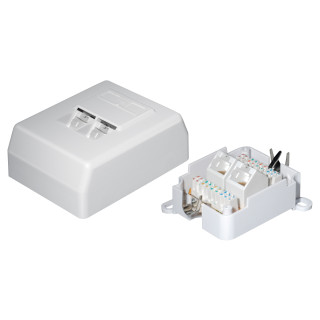 Netzwerkdose, CAT 6A, UTP 2x Western 8/8-Anschlüsse, Aufputz