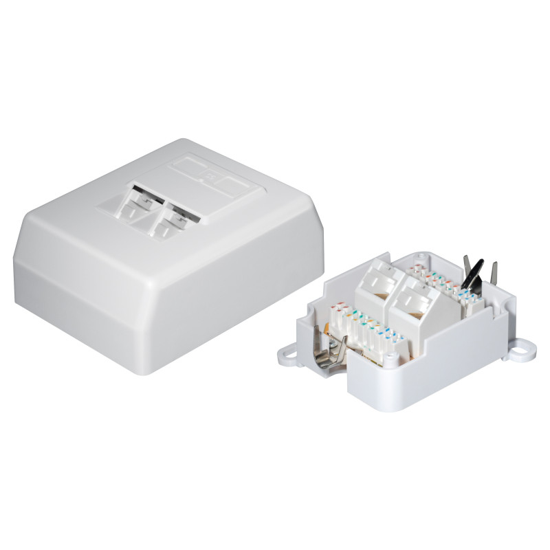 Netzwerkdose, CAT 6A, UTP 2x Western 8/8-Anschlüsse, Aufputz