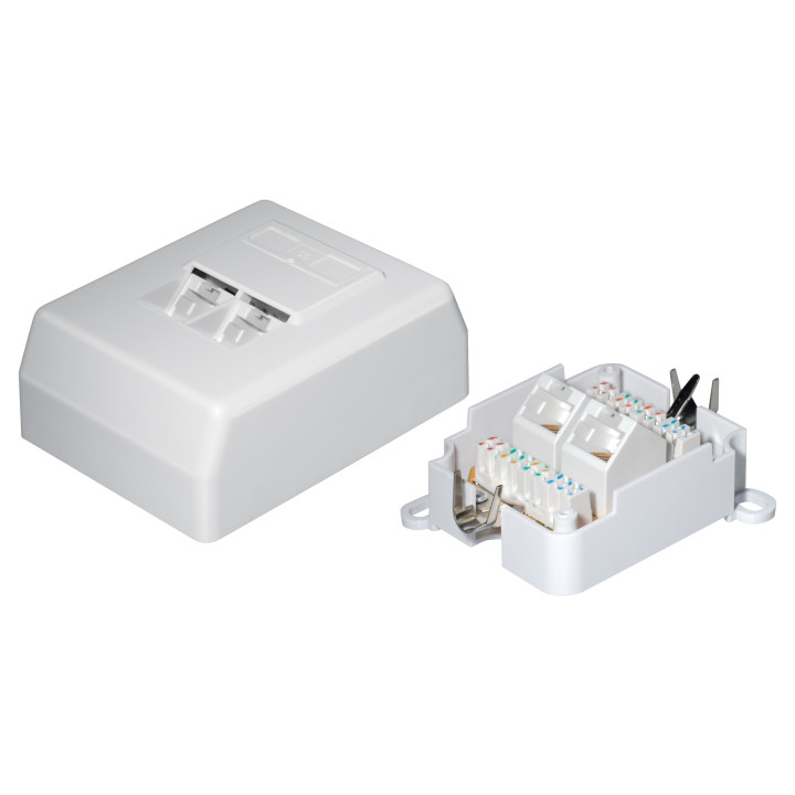 Netzwerkdose, CAT 6A, UTP 2x Western 8/8-Anschlüsse, Aufputz