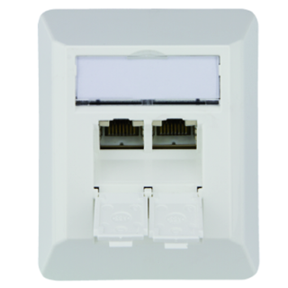 Telegärtner Netzwerkdose 100023002, CAT 6A, 2 port 8/8(8)-Anschlüsse, Aufputz, reinweiß
