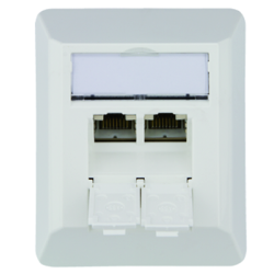 Telegärtner Netzwerkdose 100023002, CAT 6A, 2 port 8/8(8)-Anschlüsse, Aufputz, reinweiß