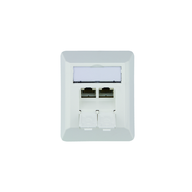 Telegärtner Netzwerkdose 100023002, CAT 6A, 2 port 8/8(8)-Anschlüsse, Aufputz, reinweiß