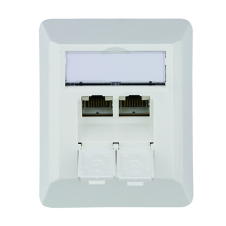 Telegärtner Netzwerkdose 100023002, CAT 6A, 2 port 8/8(8)-Anschlüsse, Aufputz, reinweiß