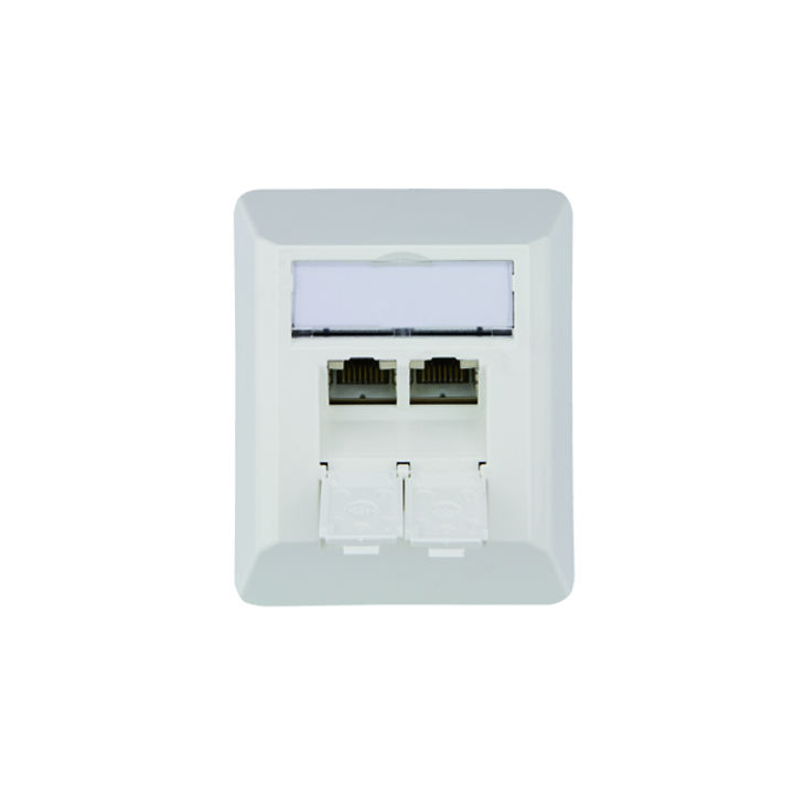Telegärtner Netzwerkdose 100023002, CAT 6A, 2 port 8/8(8)-Anschlüsse, Aufputz, reinweiß