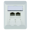 Telegärtner Netzwerkdose 100023002, CAT 6A, 2 port 8/8(8)-Anschlüsse, Aufputz, reinweiß
