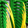 Lichtwellenkabel, LC-Simplex Stecker - LC Simplex Stecker, 2,0 m