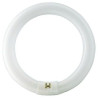 Philips MASTER TL-E Super 80 Circular, 22W/840, 29mm, 4000 K, Kaltweiss