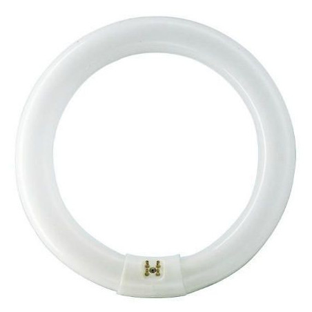 Philips MASTER TL-E Super 80 Circular, 22W/865, 29mm, 6500 K, Daylight