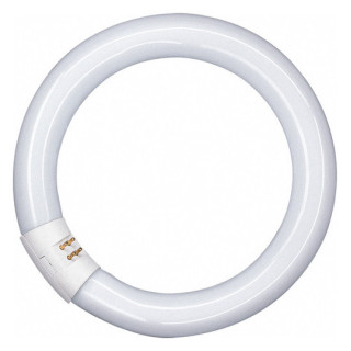 Osram L 22W 840 C G10q, 28mm, D: 216, Ringfrom Lumilux Interna hellweiß, 4000K