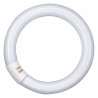 Osram L 22W 840 C G10q, 28mm, D: 216, Ringfrom Lumilux Interna hellweiß, 4000K