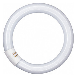 Osram L 32W 865 C G10q, 29mm, D: 305, Ringfrom Lumilux Interna daylight, 6500K