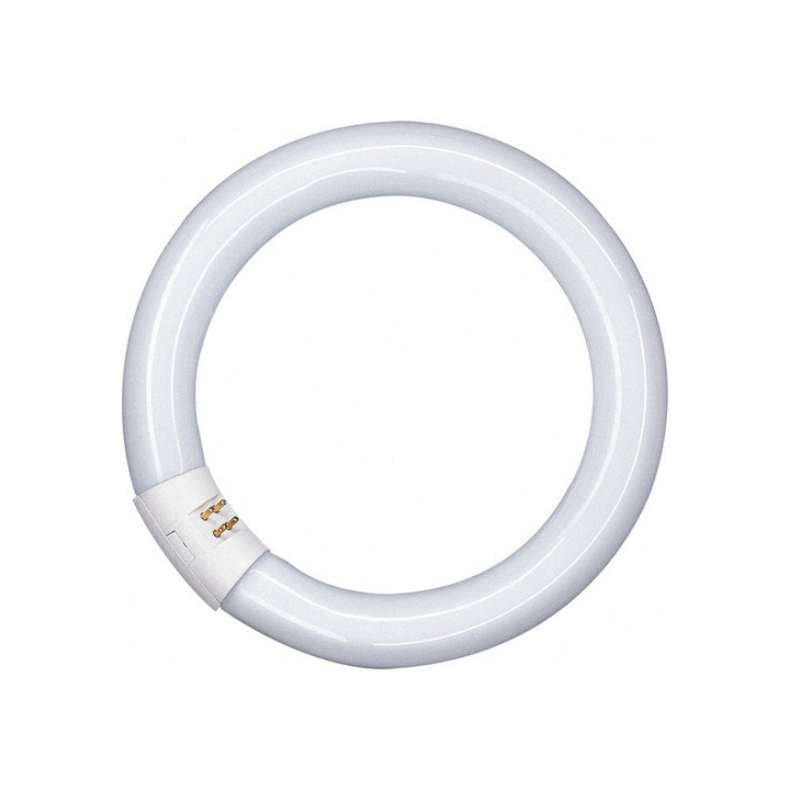 Osram L 40W 840 C G10q, 29mm, D: 406, Ringfrom Lumilux Interna hellweiß, 4000K
