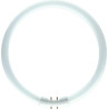 Philips MASTER TL5 Circular 22W/830 DIM,  Warmweiss, 3000 K, Leuchtstofflampe 16mm