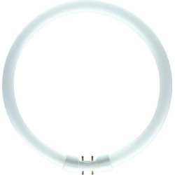 Philips MASTER TL5 Circular 22W/840 DIM,  Kaltweiss, 4000 K, Leuchtstofflampe 16mm