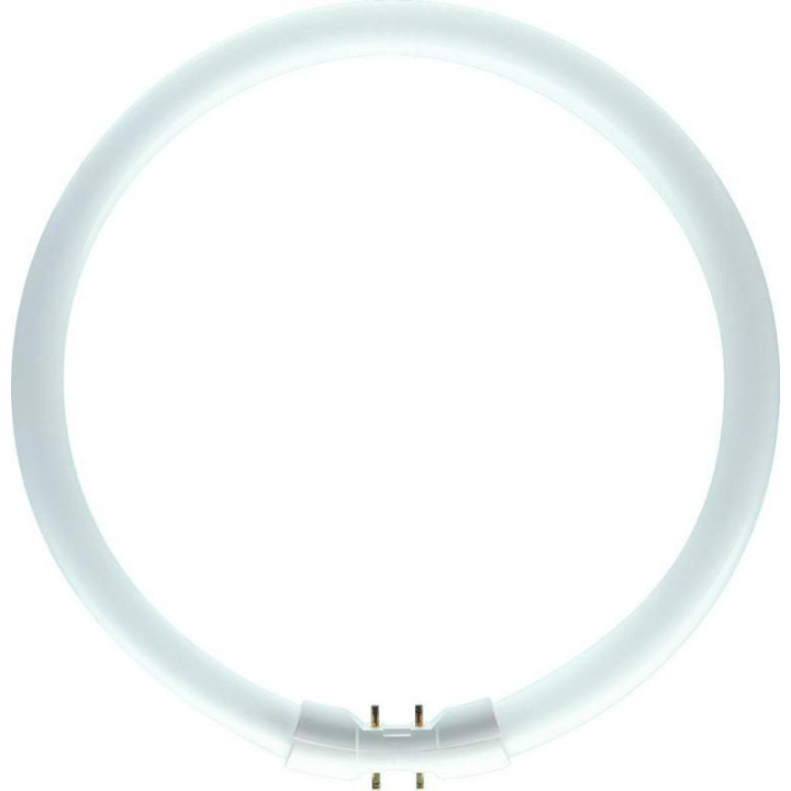 Philips MASTER TL5 Circular 40W/840 DIM,  Kaltweiss, 4000 K, Leuchtstofflampe 16mm