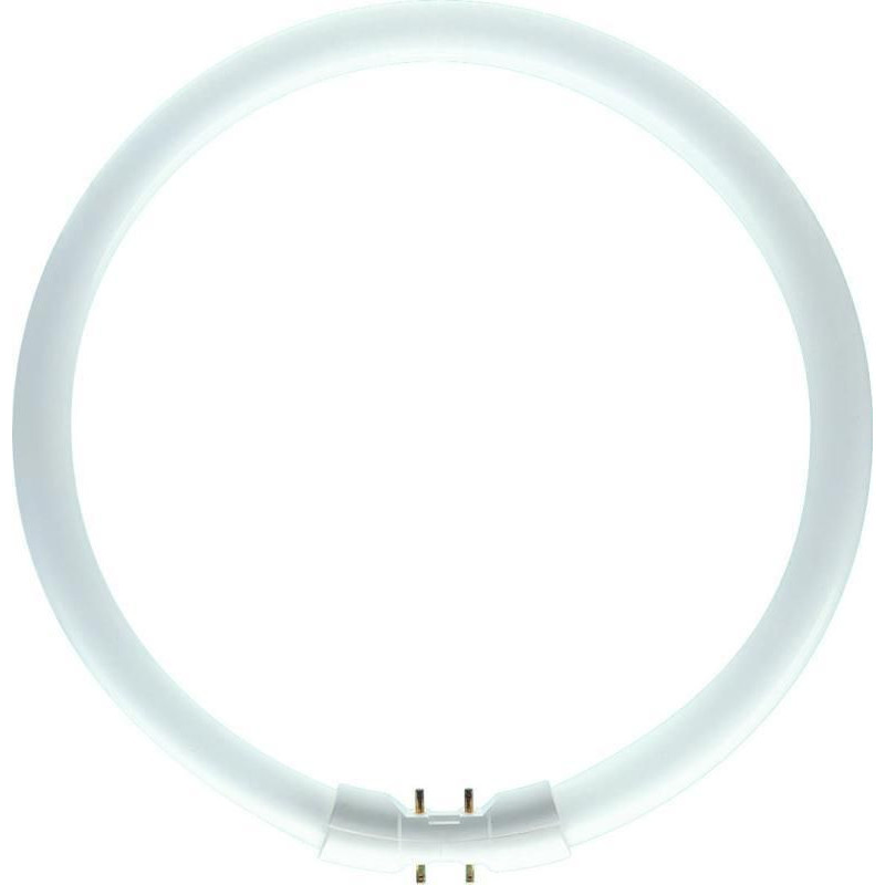 Philips MASTER TL5 Circular 60W/840 DIM,  Kaltweiss, 4000 K, Leuchtstofflampe 16mm
