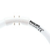 Philips MASTER TL5 Circular 22W/840 DIM,  Kaltweiss, 4000 K, Leuchtstofflampe 16mm