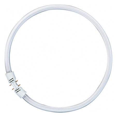 Osram FC22W/830 16mm D:225mm Ringform, Warmton, 3000K