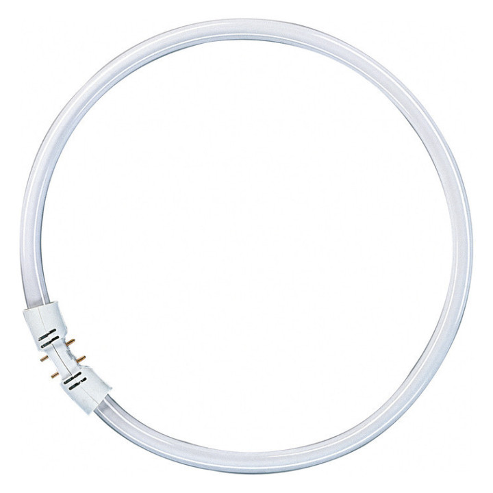 Osram FC22W/830 16mm D:225mm Ringform, Warmton, 3000K