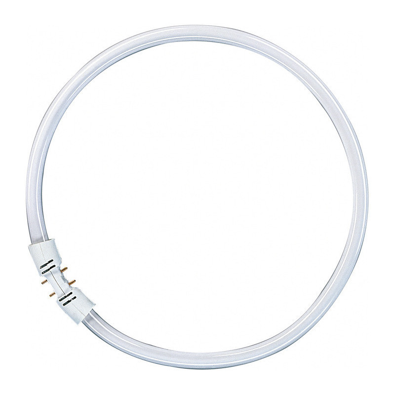 Osram FC22W/840 16mm D:225mm Ringform, Kaltweiss, 4000K