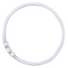 Osram FC22W/840 16mm D:225mm Ringform, Kaltweiss, 4000K