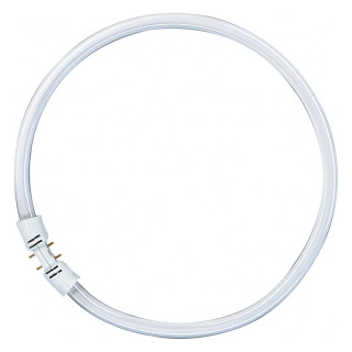 Osram FC40W/840 16mm D:300mm Ringform, Kaltweiss, 4000K