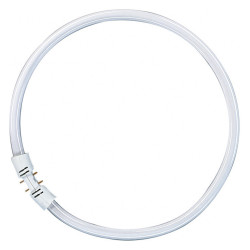 Osram FC40W/840 16mm D:300mm Ringform, Kaltweiss, 4000K