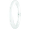 Osram / Ledvance LED TUBE T9, 18,3W/830, 2000lm, 3000K, warmweiß, D: 300mm, Ringform, G10q-Sockel
