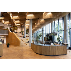 Philips Master LEDtube HF InstantFit 160°, UO 16W/840, 2500lm, 4000K, kaltweiß, länge: 1200mm, G13-Sockel, EVG