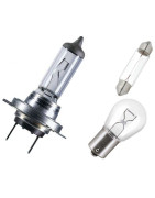 Kfz-Lampen