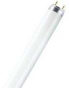 T8, G13-Sockel Osram
