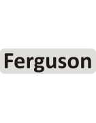 FERGUSON